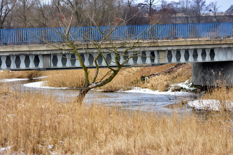 most w Krzyżanowicach