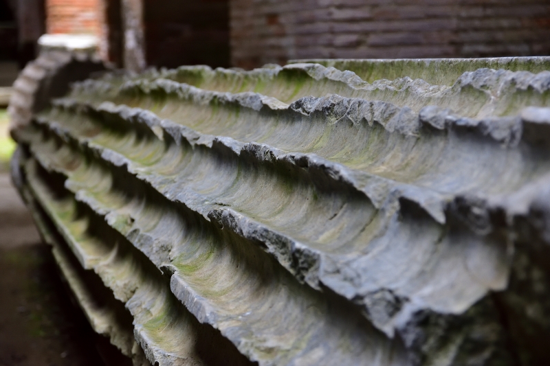 2017-02-08_147 (800x533)