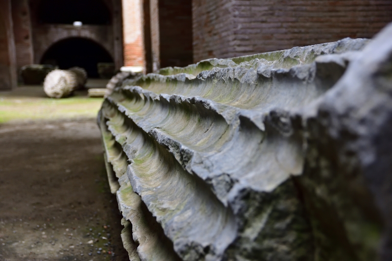 2017-02-08_149 (800x533)