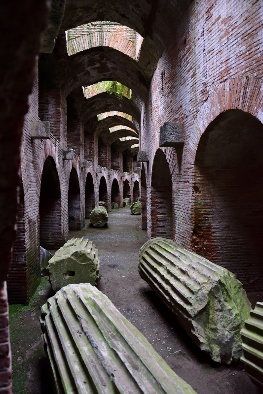 2017-02-08_158 (533x800)