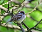 2017-06-18 Park Złotnicki