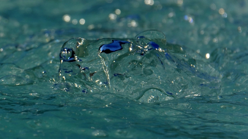 2017-08-14_2147 (800x450)