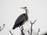 2016-03-23 ZOO