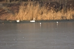 glinianka
