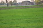 Złaków Kościelny