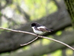 2016-04-24 Park Zachodni