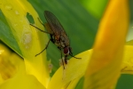 DSC_9938 (800x533)