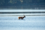 2019-09-22 Radziądz