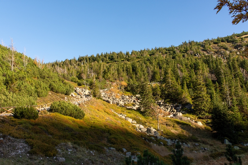 Samotnia, Karkonosze