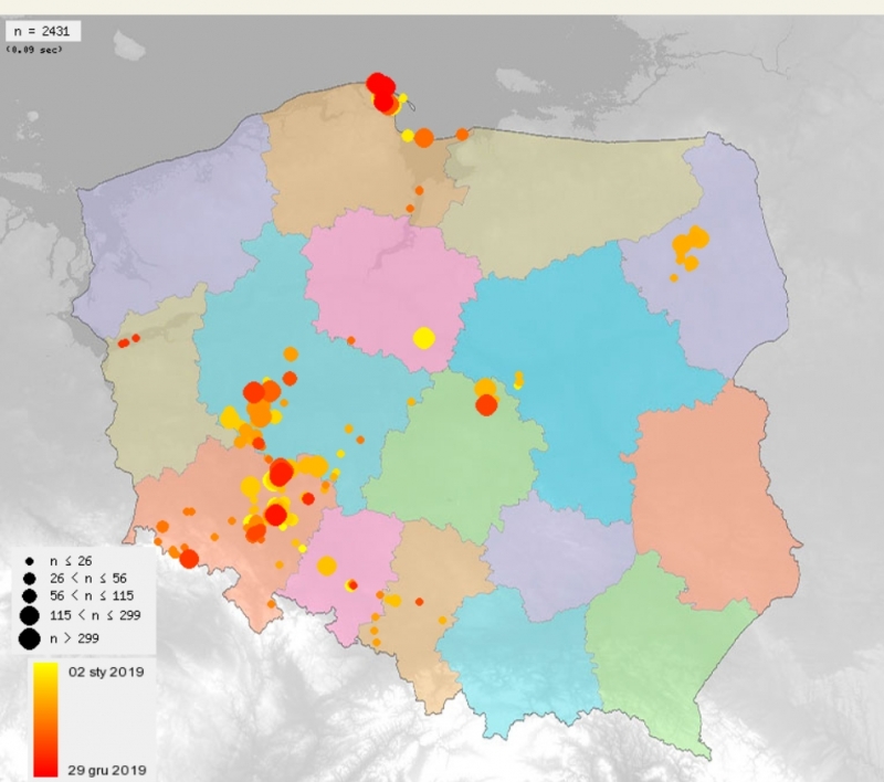 2019 mapa