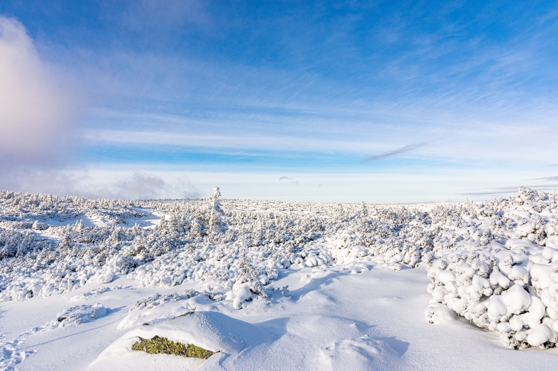 Równia pod Śnieżką, Śnieżka, Karkonosze