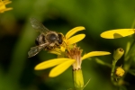 20200808 1 (800x533)