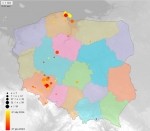 [2024] obserwacje