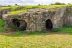 2024-10-18 6 (800x533)