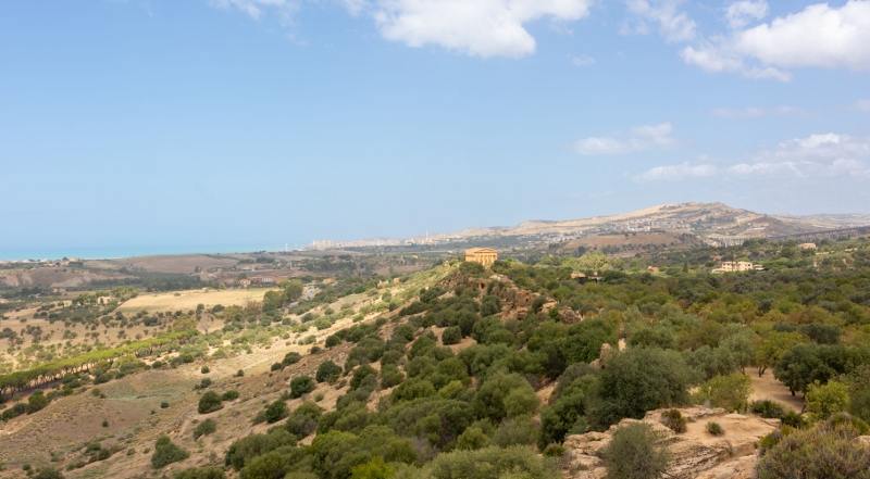 2024-07-04 34 agrigentum (800x441)