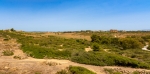 2024-07-06 134 selinunt (800x393)