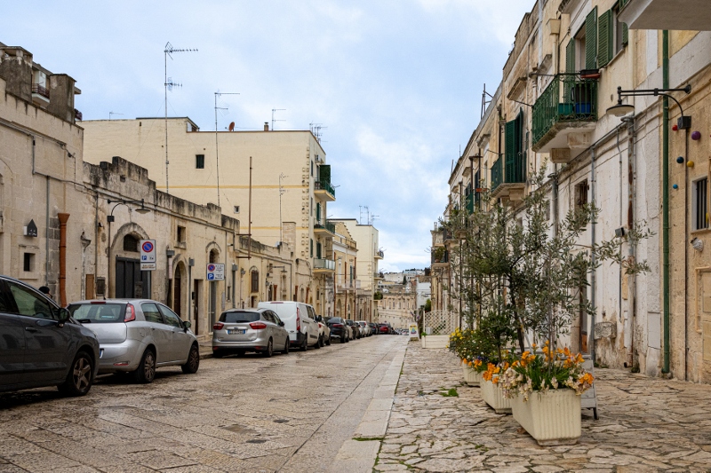 20260328 1 (800x533)