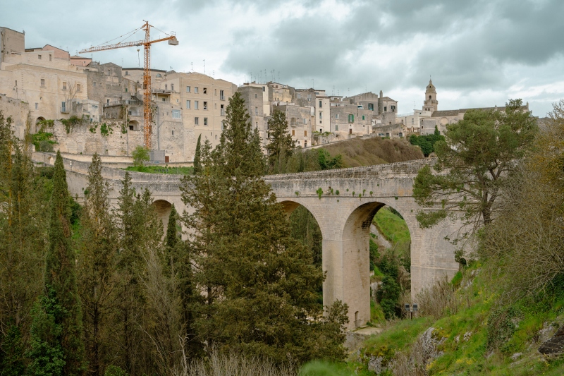 20260328 76 (800x533)