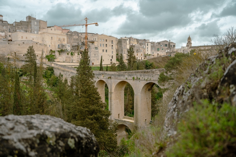 20260328 77 (800x533)