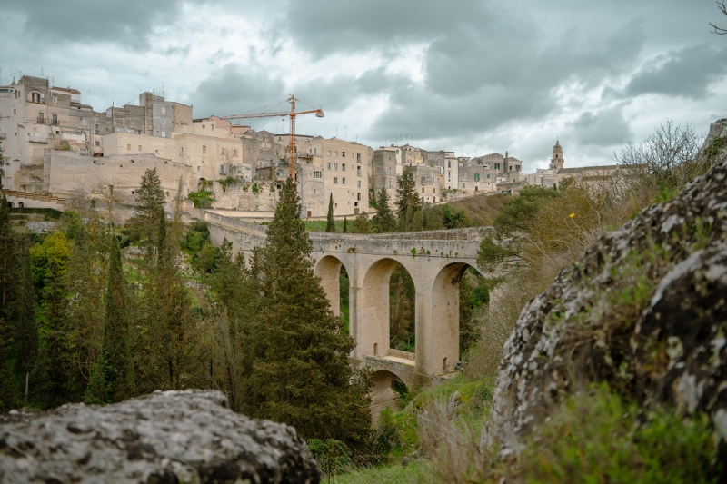 20260328 78 (800x533)