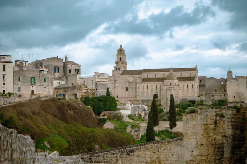 20260328 79 (800x533)