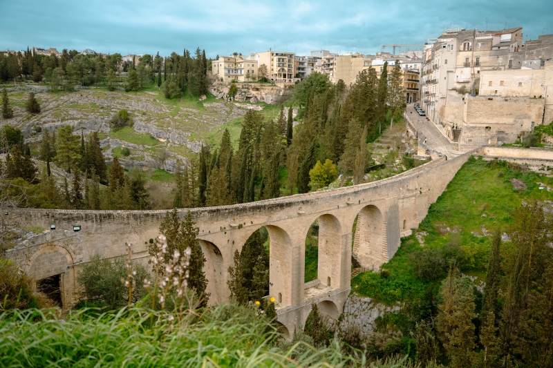 20260328 80 (800x533)