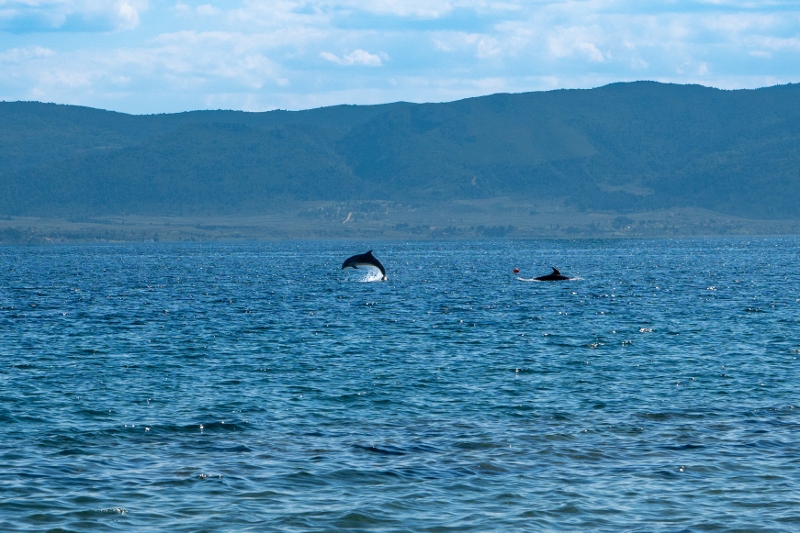 20260424 13 (800x533)