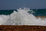 DSC_6460 (800x533)