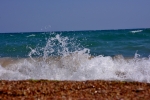DSC_6463 (800x533)