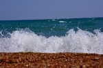 DSC_6464 (800x533)