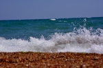 DSC_6465 (800x533)