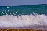 DSC_6466 (800x533)