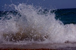 DSC_6467 (800x533)