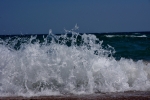 DSC_6472 (800x533)