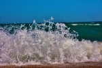 DSC_6472 (800x534)