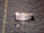 2016-01-30 Park Wschodni
