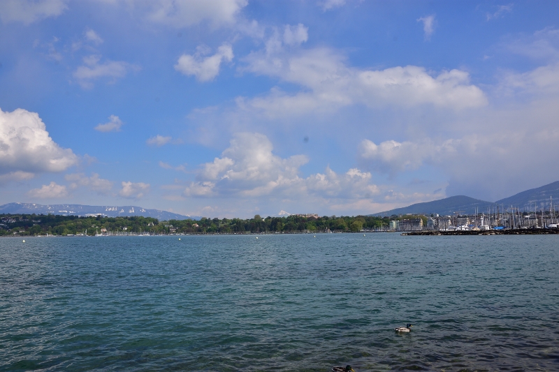 Genewa, Jezioro Genewskie